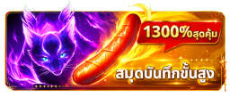 สมุดบันทึกขั้นสูง